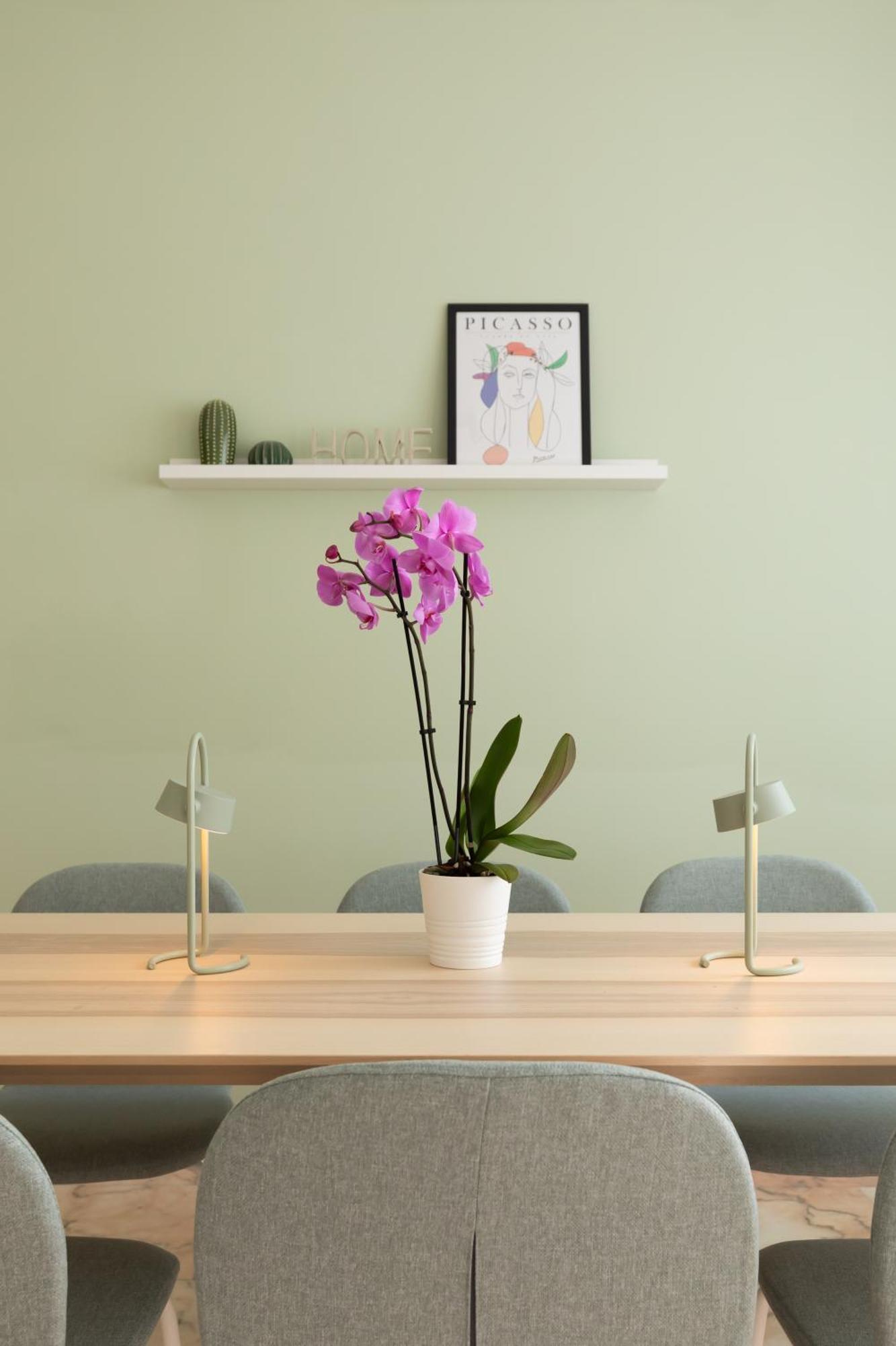 Domiziano Boutique Apartment Róma Kültér fotó